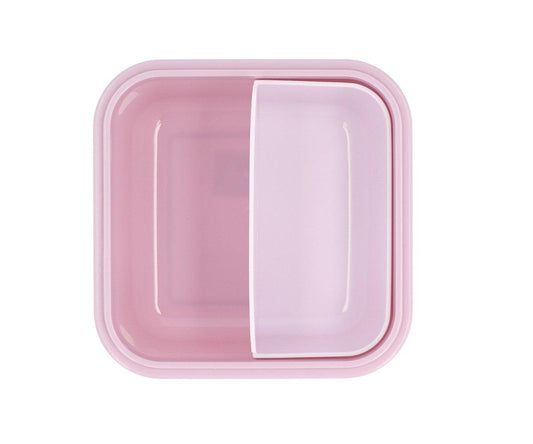 Lunch Box Bugs